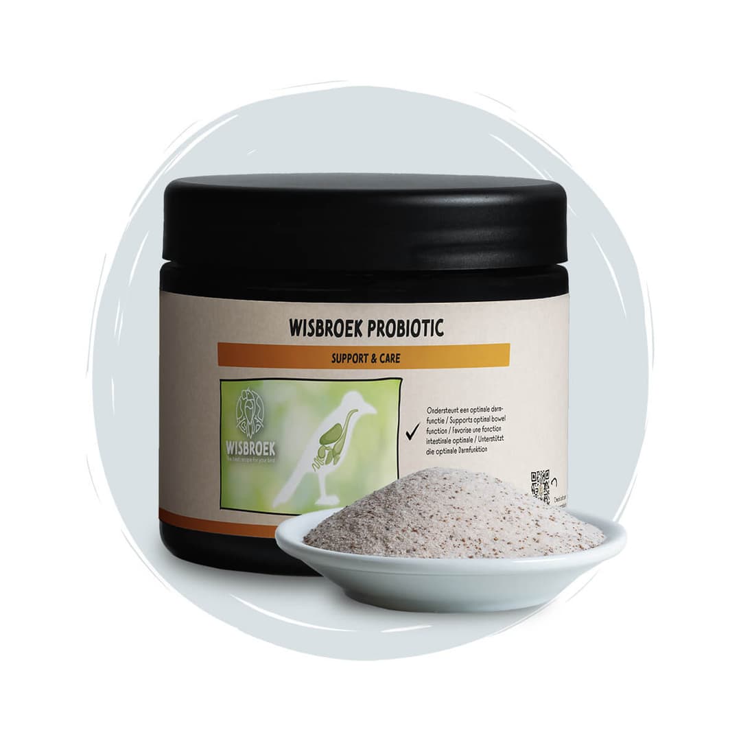 Wisbroek Probiotic 250g