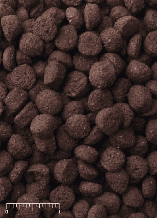 Crocodilian Diet - Small