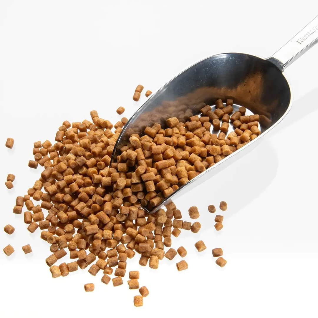 Cichlid Pellets Sinking (4.5 mm)