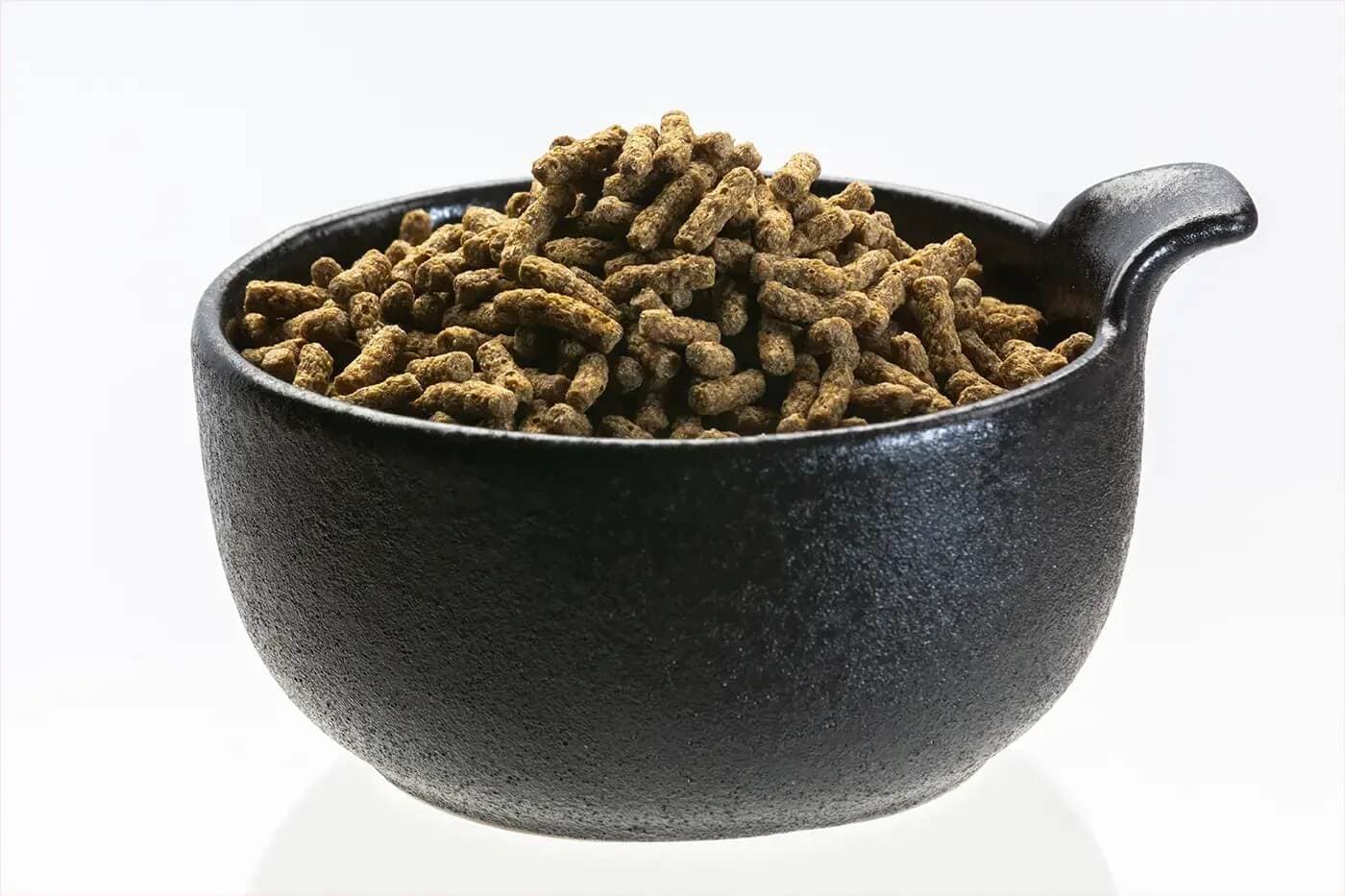 Skildpadde Sticks Brune