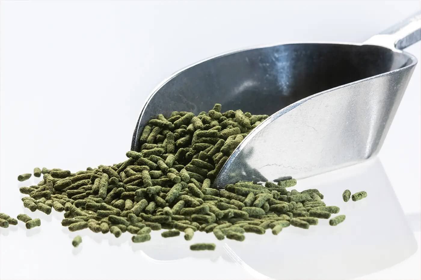 Cichlide Sticks Spirulina (2.5 mm)