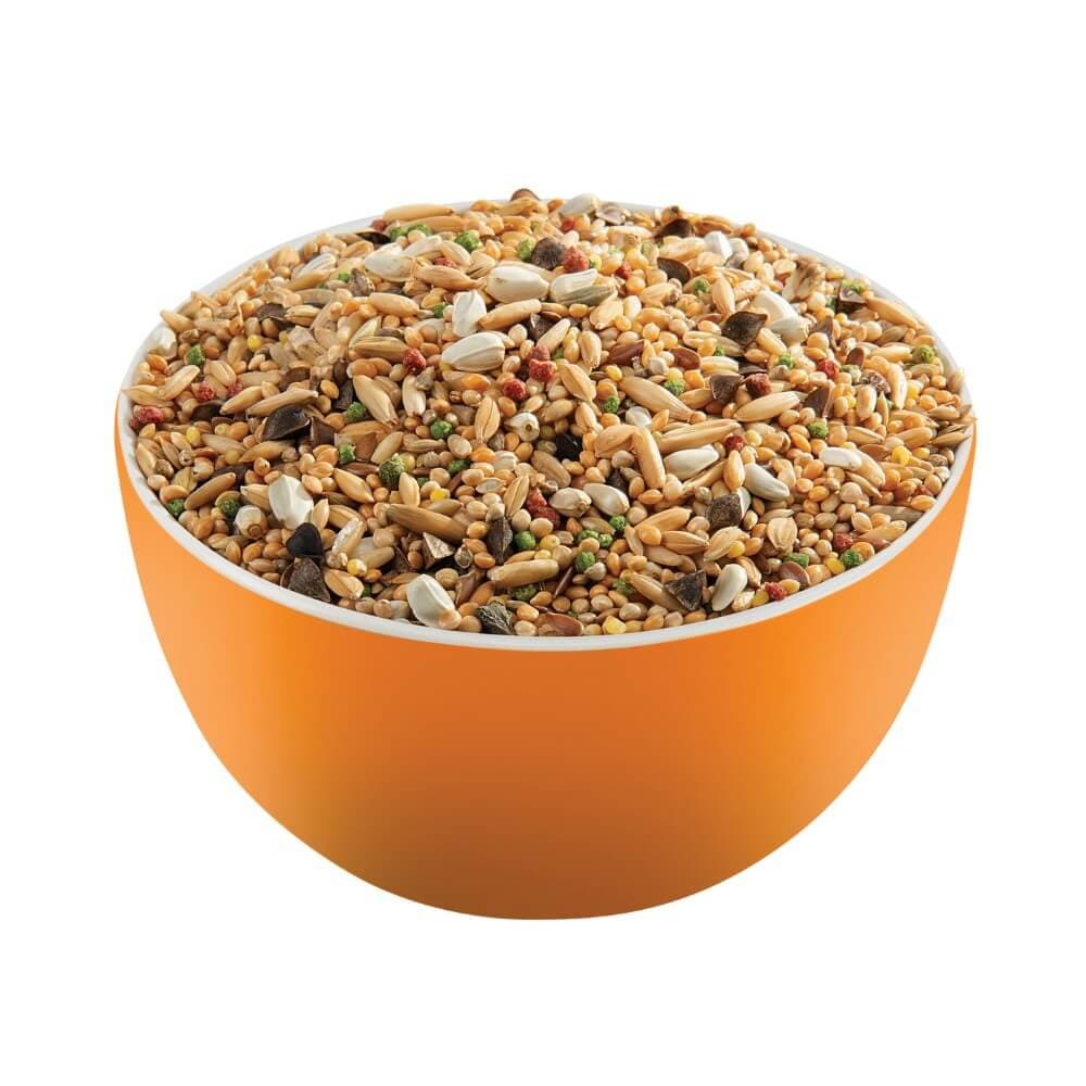 Afrikansk Parakit Mix