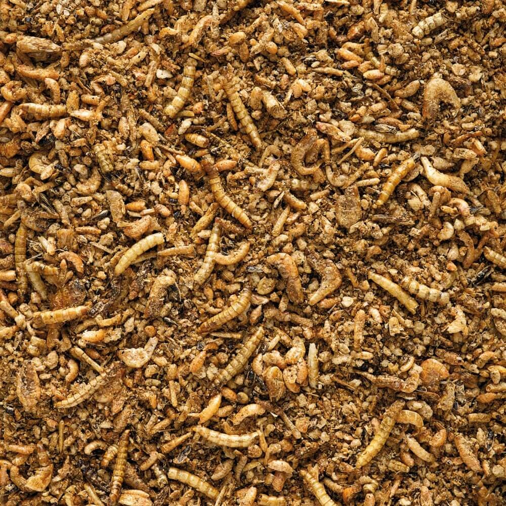 Insect Patee Premium - min. 50% insekter