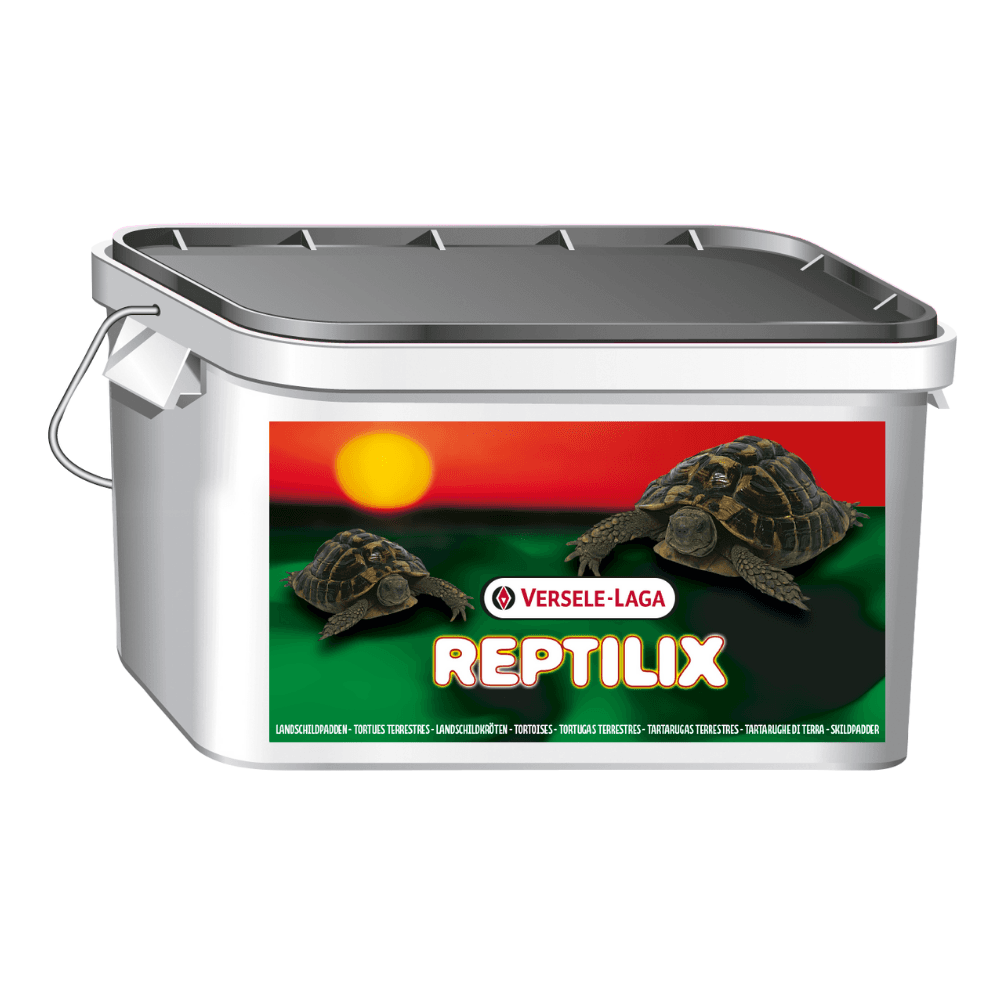 Reptilix-skildpadde