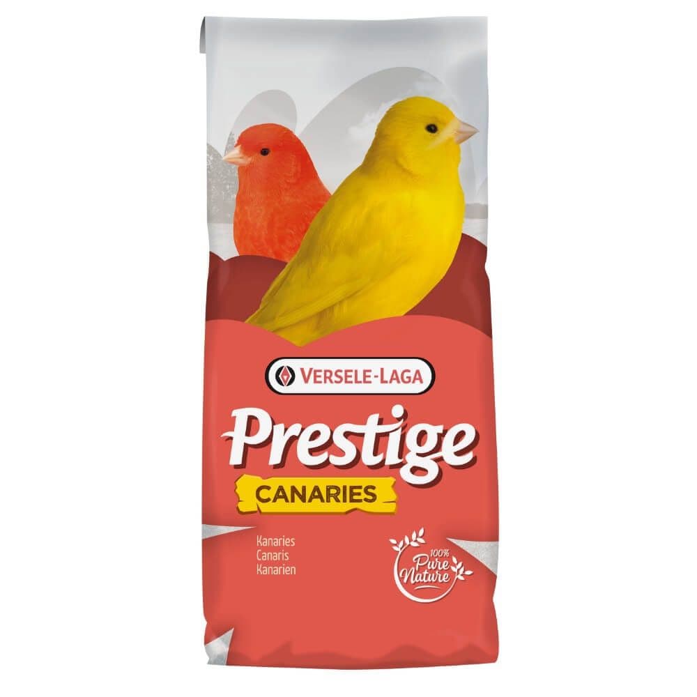 Kanarie Prestige