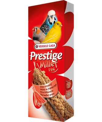 Rød Rævehalehirse
