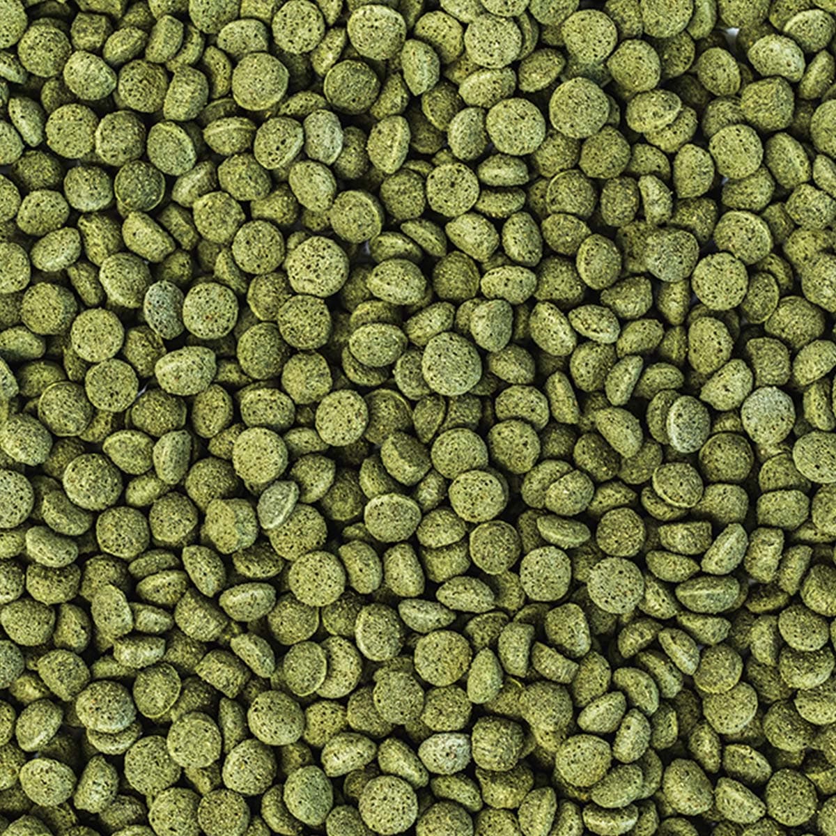 wisbroek-parrot-nut-blend-daily-large-topview.jpg