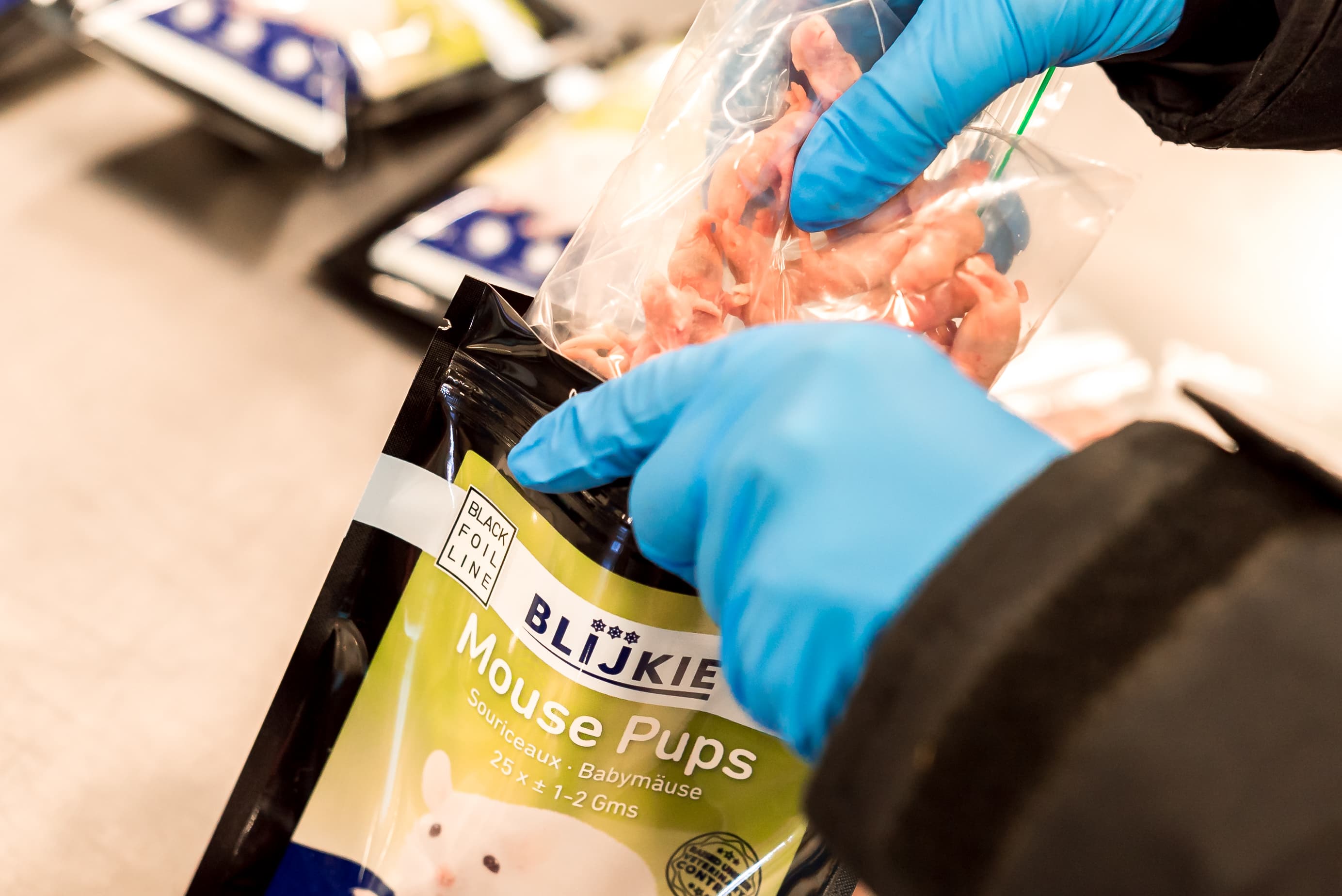 Rats mice department